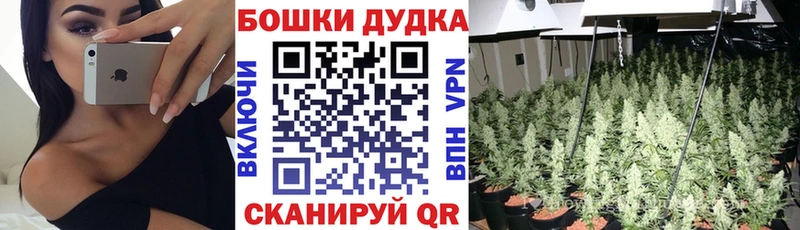Бошки марихуана Bruce Banner  Жердевка 